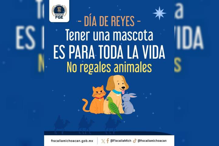 Fiscalía General refuerza acciones para erradicar la venta de animales en el operativo de Día de Reyes