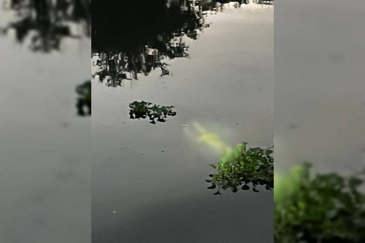 Hallan a adulto mayor ahogado en río de Lázaro Cárdenas