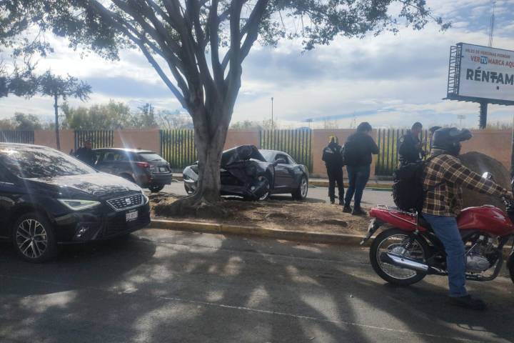 Auto choca contra árbol en la Av. Francisco J. Múgica de Morelia