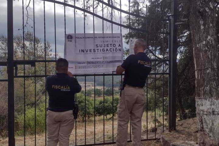 En Pátzcuaro, realiza Fiscalía General cateo en predio relacionado en delitos Contra el Ambiente