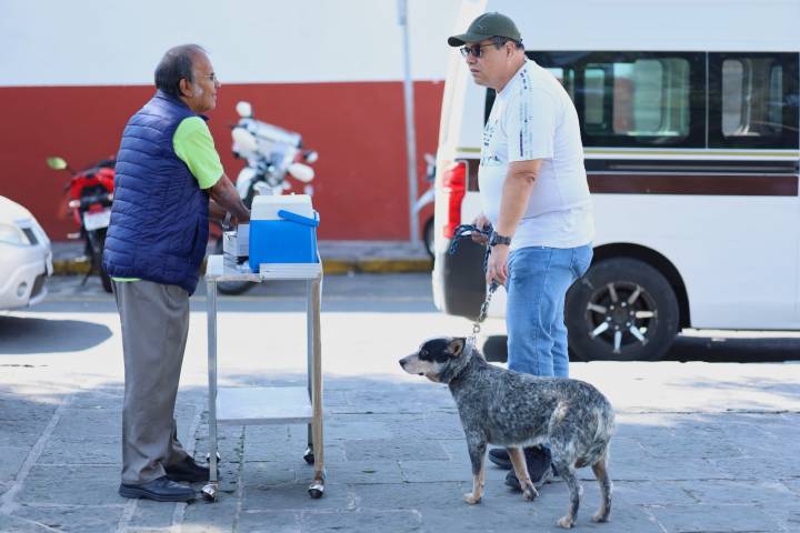 En 2025 mantendrá SSM vacunación antirrábica en todo Michoacán
