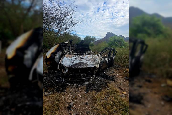 Sexagenario muere tras estallido de explosivo tipo mina, en Las Bateas
