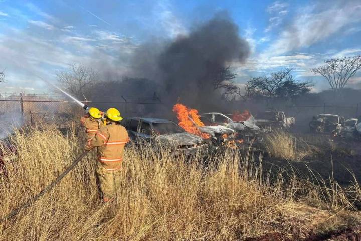 Incendio de pastizal alcanza corralón en La Piedad