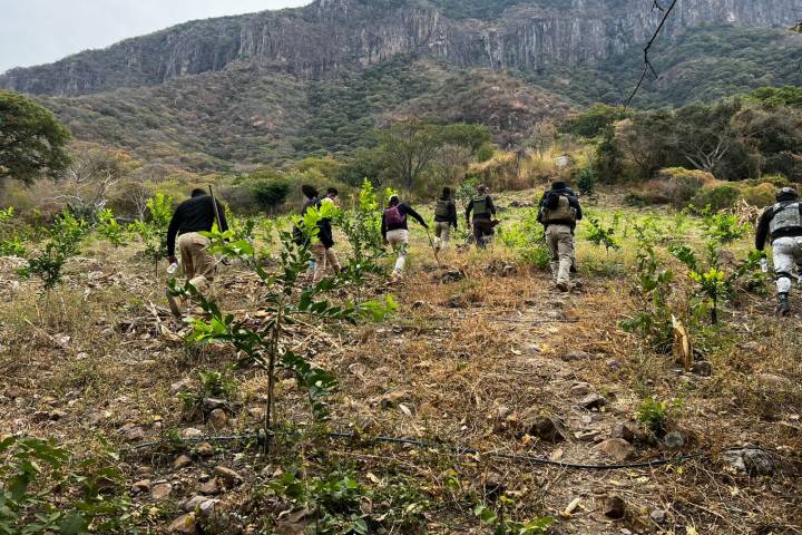 En 2024, Fiscalía de Michoacán localizó con vida a 686 personas reportadas como desaparecidas en la Región Morelia