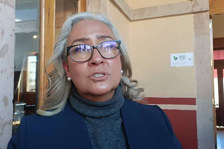 Deportación masiva de mexicanos, sería un impacto negativo en la economía de México y Estados Unidos: Emma Rivera