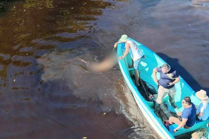 Localizan cadáver baleado en estero de Barra de Santa Ana