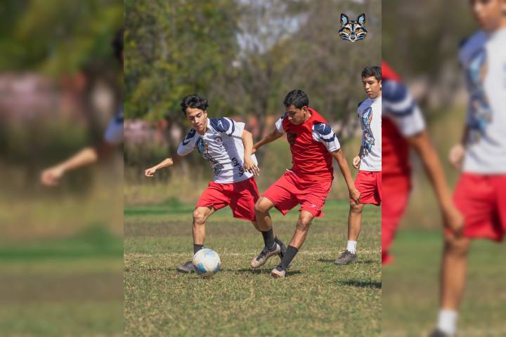 Zorros UMSNH visita a Bucaneros