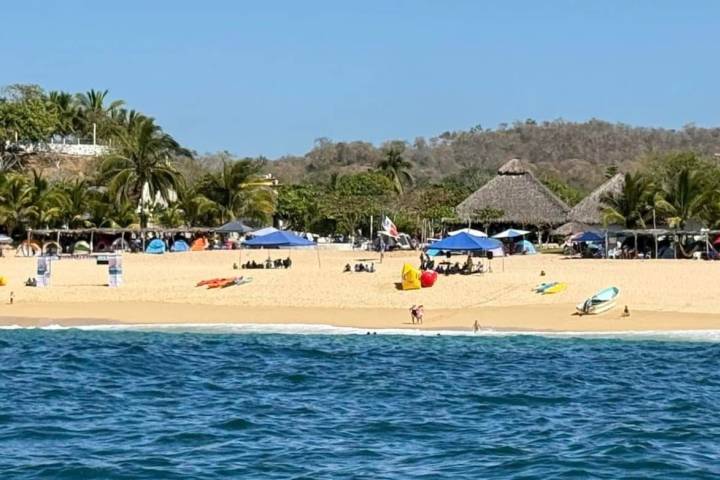 Ballenas cautivan durante su paso por las playas michoacanas