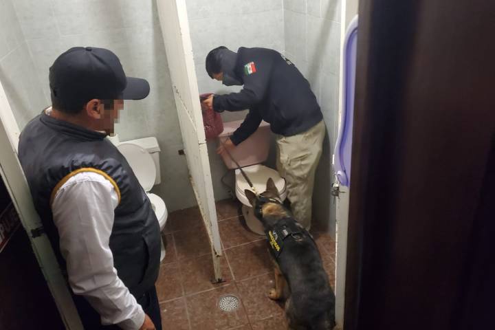 Realiza FGE cateo en bar de Morelia y asegura 150 dosis de narcótico