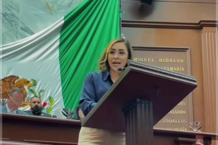 Reforma a Ley Orgánica de Administración Pública no garantiza transparencia ni rendición de cuentas: Grecia Aguilar Mercado