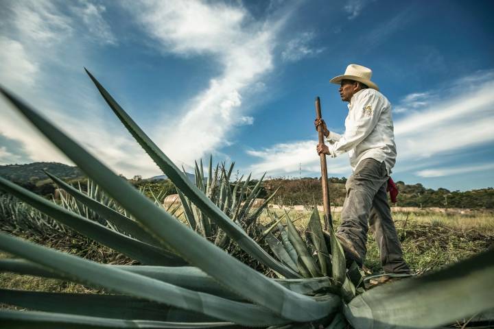 Jalisco está listo para una participación destacada en la Feria Internacional de Turismo (FITUR) 2025