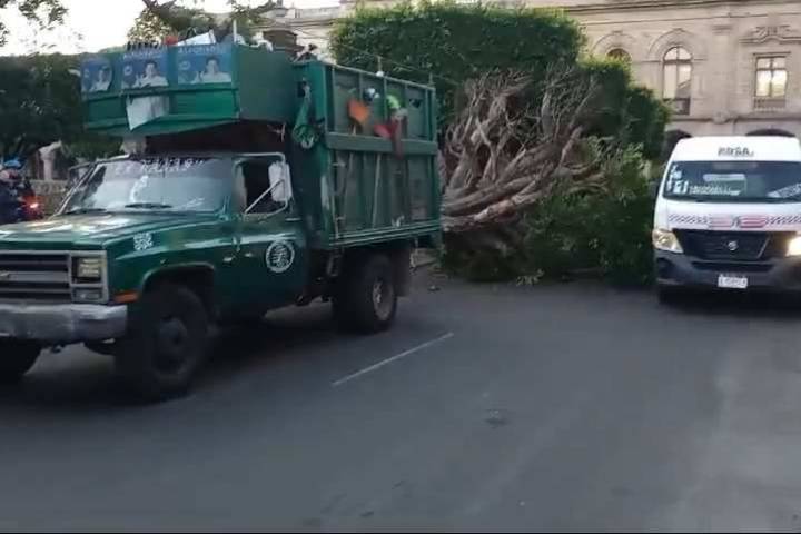 Vehículo recolector de basura daña pieza de cantera al chocar contra árbol en Plaza de Armas de Morelia