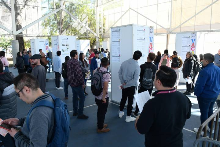Proyecta Sedeco ofertar más de 8 mil vacantes en ferias de empleo este 2025