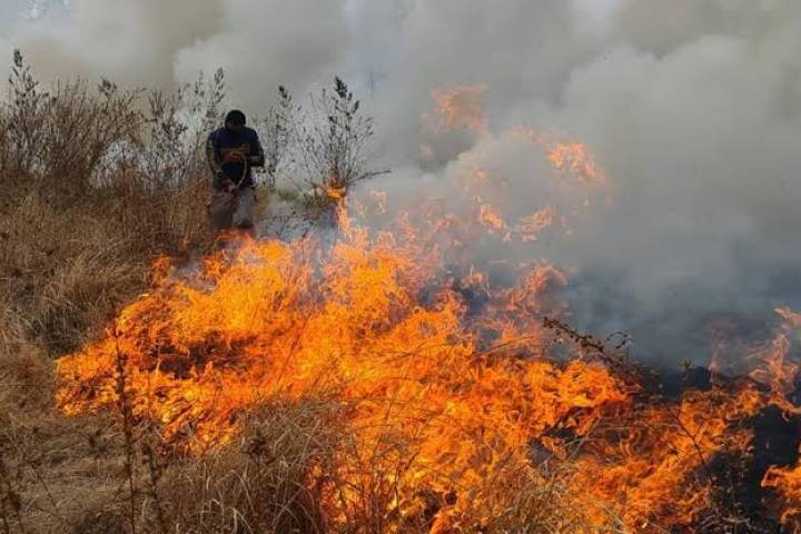 Bomberos sofocan incendio de pastizal cerca del Hospital Regional de Apatzingán
