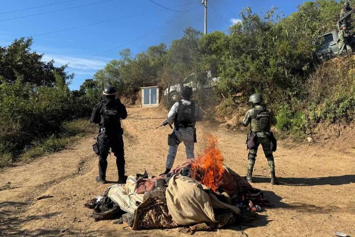 SSP, Defensa y GN localizan y desmantelan campamento clandestino, en Chinicuila