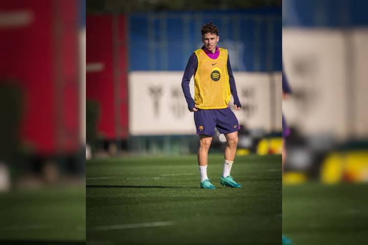 Regresa a la actividad.