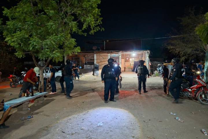 SSP desactiva palenque clandestino en Apatzingán