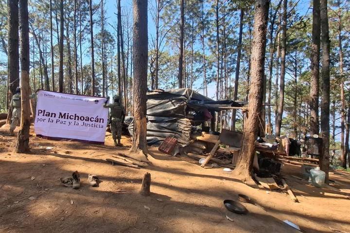 Operativos conjuntos en Michoacán dejan cuatro detenidos y el desmantelamiento de campamentos delictivos