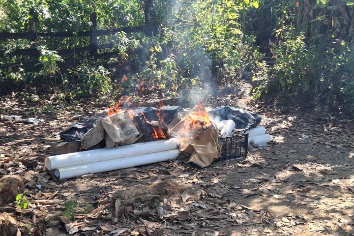 Operativos conjuntos en Michoacán dejan cuatro detenidos y el desmantelamiento de campamentos delictivos