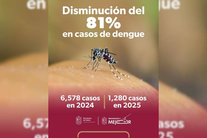 En 2025, Michoacán registró 81 % menos casos de dengue: SSM