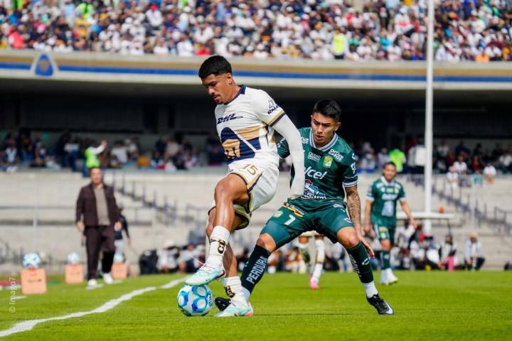Empate entre fieras