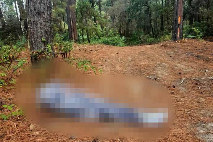 Hallan a hombre ejecutado y encobijado en la región de Tzitzio