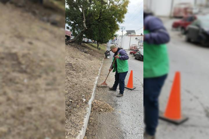 Brigadas de Servicios Públicos refuerzan poda y limpieza en vialidades de Morelia