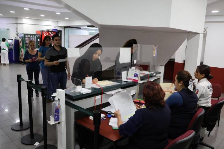 El Satmich previene sobre gestión de licencias de conducir falsas