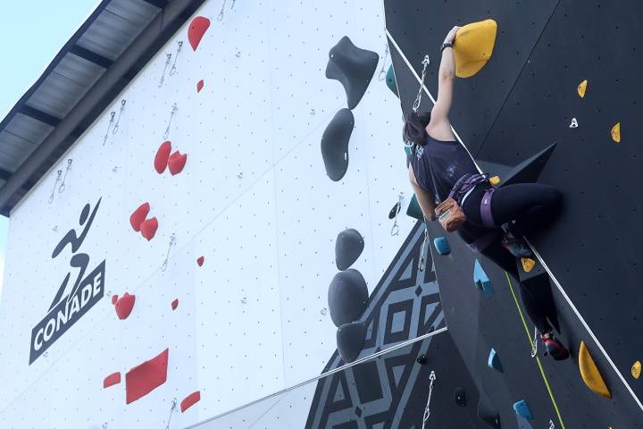 Reabren muro