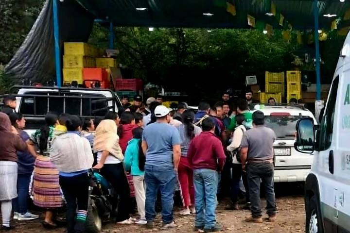 A balazos matan vendedor de aguacate, San Lorenzo