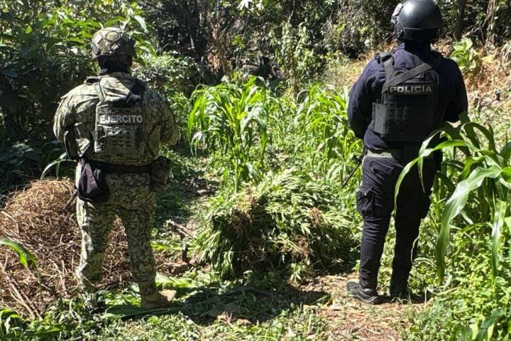 Militares frenan amenaza armada en brecha de Apatzingán