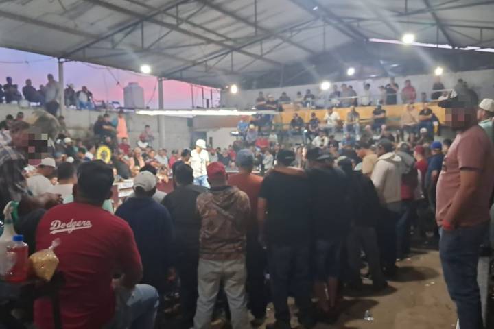 SSP y Defensa desactivan palenque clandestino en Zamora