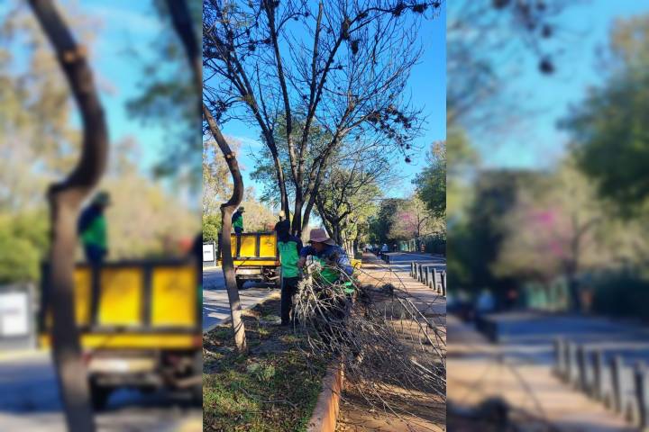 Gobierno Municipal interviene y mejora los espacios públicos de Morelia