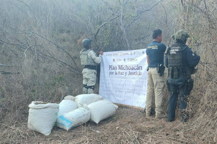 Asegurados 53 kg de marihuana en Huetamo: SSP