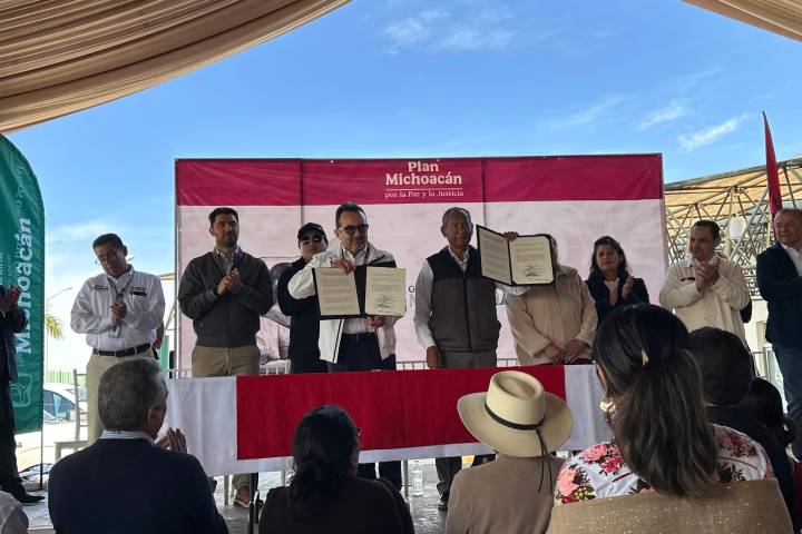 Conforma IMSS Comité Ciudadano en Villamar, Michoacán