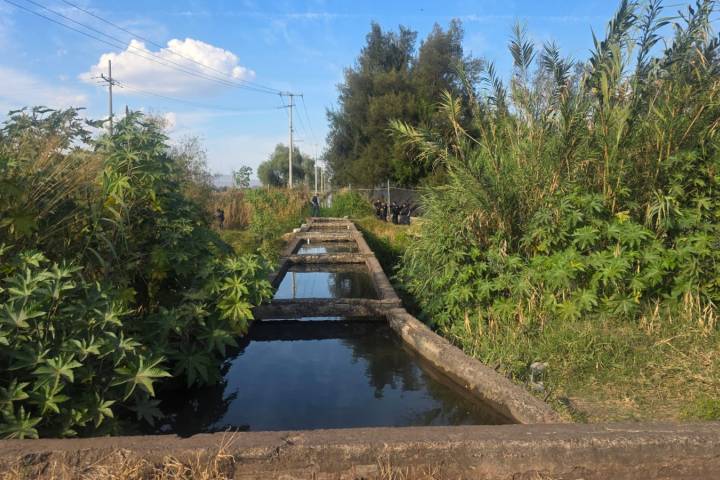 Identifican cadáver hallado maniatado en cabal de aguas negras de Zamora