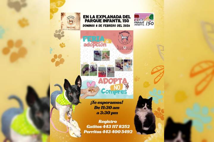  Rescatistas independientes convocan a feria de adopción este domingo en Morelia