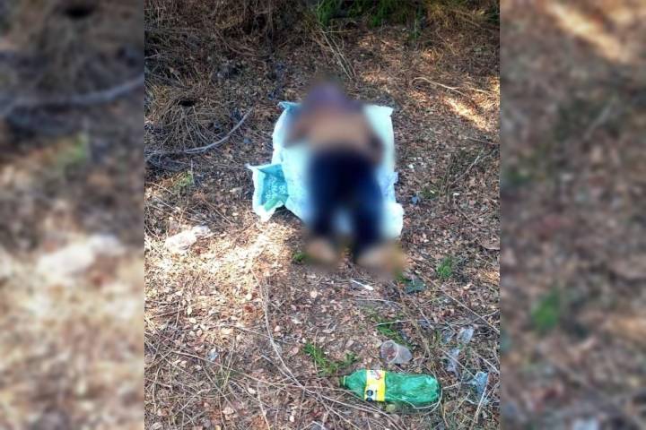 Tragedia en el Río Grande; muere hombre por ahogamiento en Buenavista Tomatlán