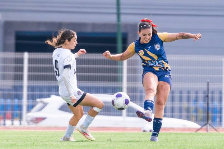 Equipos del Atlético Morelia-UMSNH imponen récords de victorias