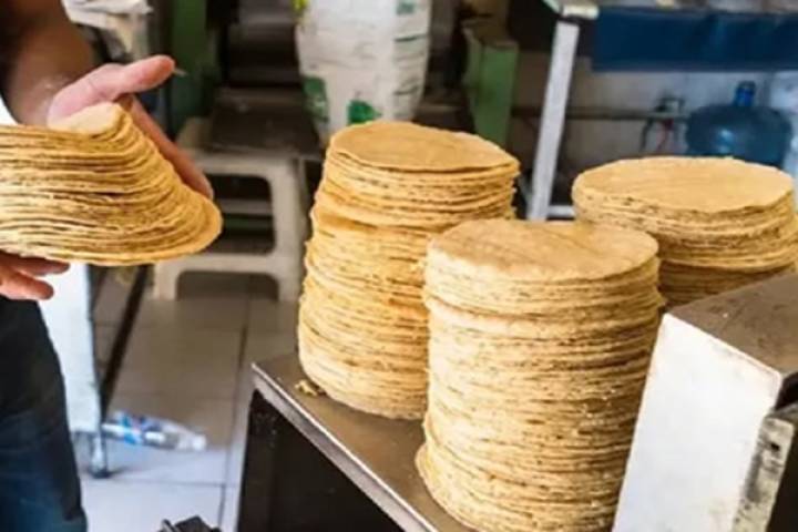 Tienen Aquila y Coahuayana la tortilla más cara de Michoacán