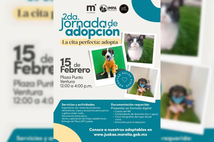 El Impa invita a la 2ª Jornada de Adopción, este fin de semana