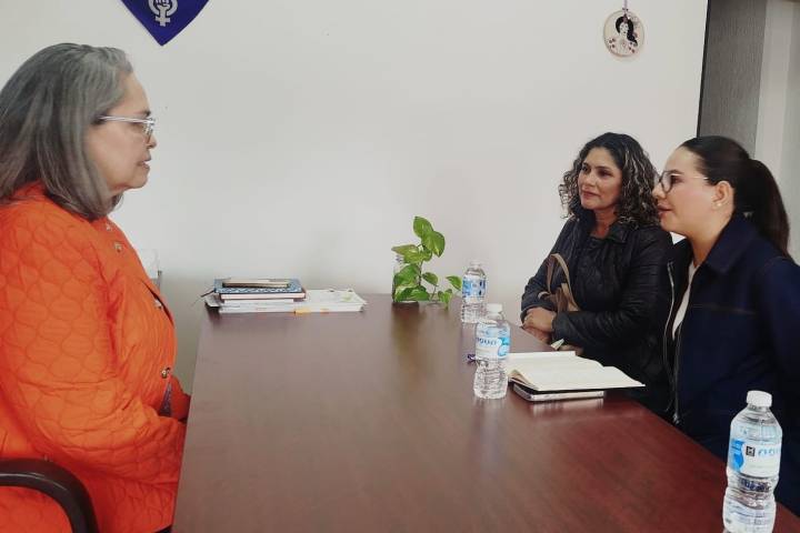 FGE refuerza coordinación interinstitucional para la protección de niñas, niños y adolescentes