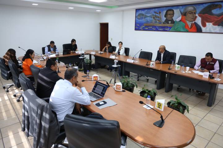 Presenta el IEM informe sobre solicitudes para constituir Agrupaciones Políticas Estatales en Michoacán