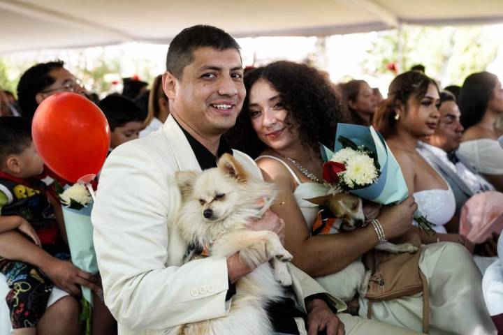 ¡Récord de bodas en Michoacán! Más de 2 mil parejas unen sus vidas en jornada histórica