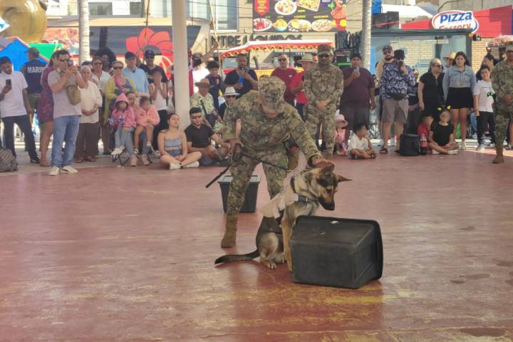 La Cuarta Región Naval realizó Ejercicios con Binomios Caninos y de Rescate Marítimo en Mazatlán, Sinaloa
