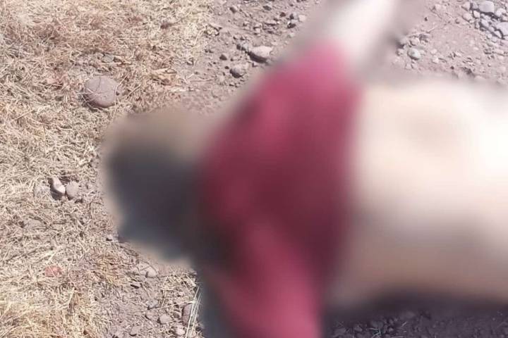 Localizan asesinado a un poblador de "El Alcalde"
