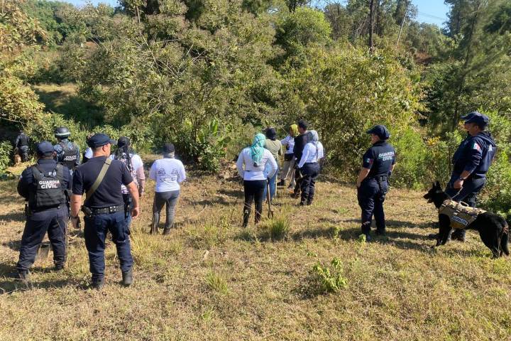 Guardia Civil mantiene operativos de búsqueda forense en Michoacán