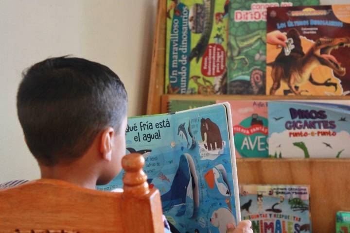 Ofrece DIF Morelia formación inicial Montessori: Paola Delgadillo
