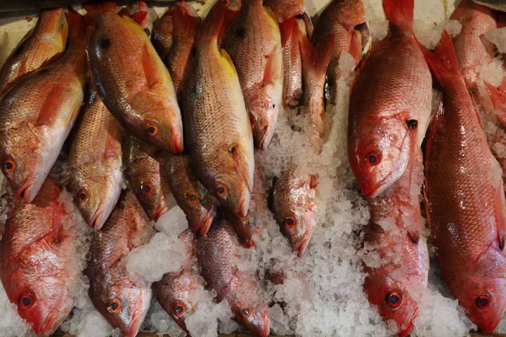 SSM activa operativo de Cuaresma; vigilará venta de pescados y mariscos