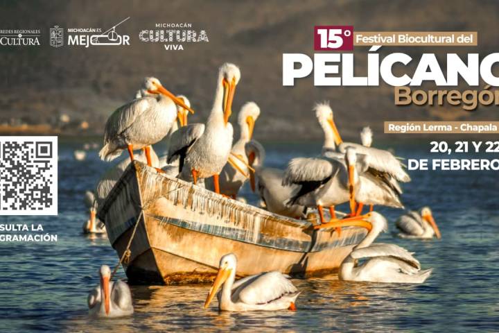 Murales, talleres y tradición: Vive el Festival del Pelícano Borregón del 20 al 22 de febrero